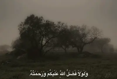 #المنشاوي #quran 