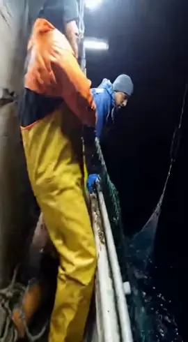 Fishermen in America captured something moving under the waves. 🌊 Moments later, a scream — and the camera falls. 🎥 Authorities never confirmed what they found. 👁️ #CaughtOnCamera #MermaidsAreReal #SeaMonster #DeepSeaHorror #realorfake 