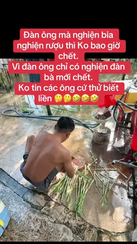 Dám thử không 