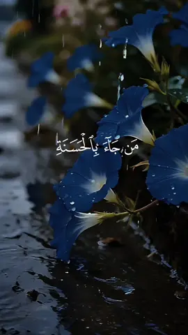 من جاء بالحسنة فله عشر أمثالها #سعد_الغامدي #قران #تلاوة_خاشعة #quran_alkarim #القرآن_الكريم_ترند 