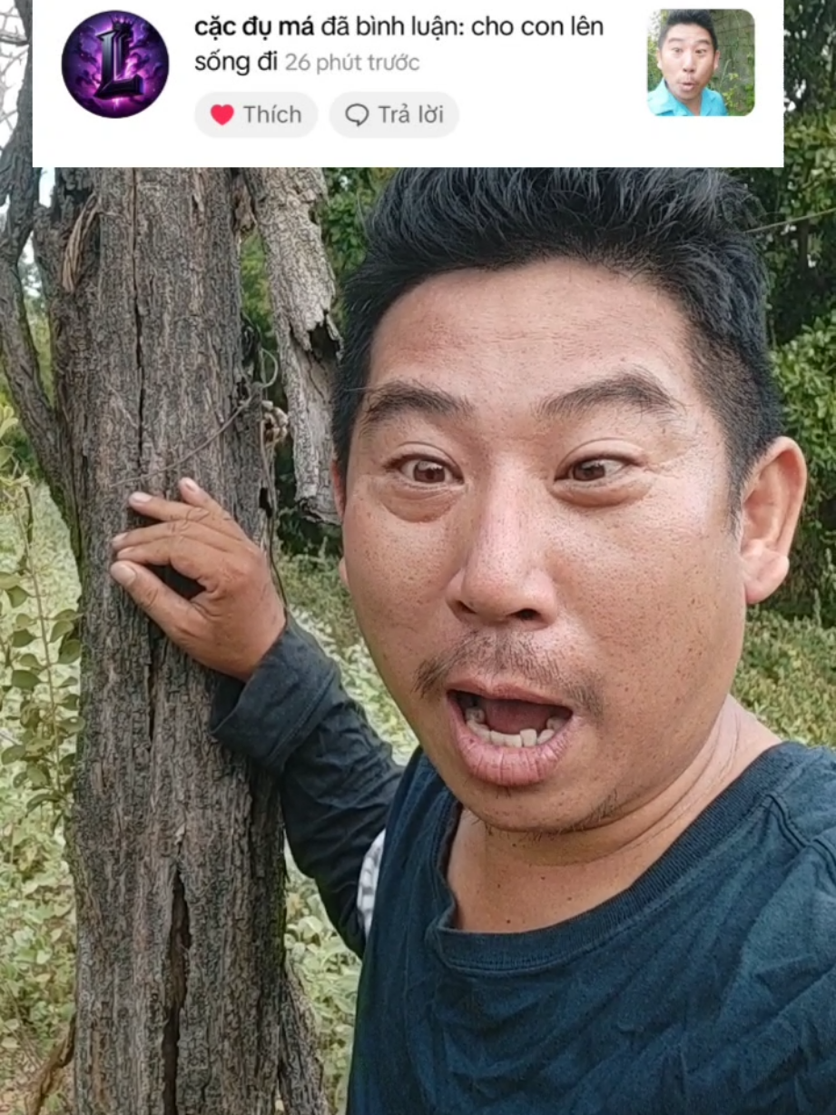 Cho Con Lên Sóng Đi @KB Hoàng Anh @KB Hoàng Anh @KB Hoàng Anh #thinhhanhtiktok #xuhuongtiktok #xuhuong #xuhuongtiktok2025 #thinhhanh 