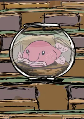 Németh Szilárd core: