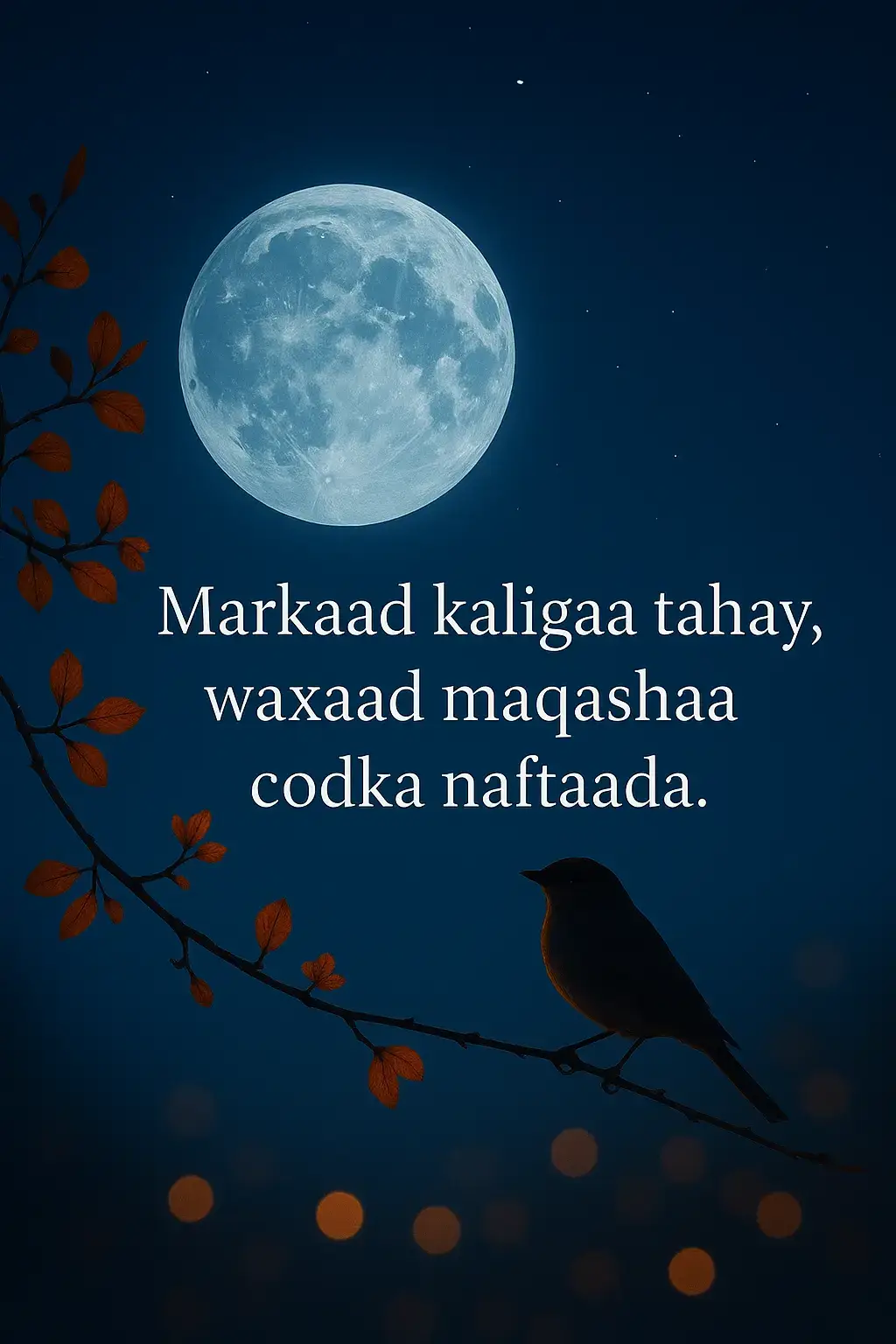 Mararka qaar nolosha waxay noqotaa buuq aan dhammaad lahayn — dad, hawlo, iyo hadal badan oo maskaxda buuxiya. Laakiin markaad kelida noqoto, waxaa bilaabma daqiiqad naadir ah oo ay aamusaaan dhammaan codadkii kale, markaas ayaad maqashaa codka ugu muhiimsan ee jira: codka naftaada. Codkaas waa kan kuu sheega cidda aad dhab ahaantii tahay. Waa midka ku xusuusiya riyooyinka aad illoowday, niyaddaada dhabta ah, iyo jidka aad rabto inaad mar labaad ku socoto. Ha ka baqin kelinimada — waa meel lagu bogsado, lagu fikirayo, laguna kobcayo. Marka xigta ee aad kelida tahay, ha u qaadan cidlo… u qaado fursad aad ku maqasho codkaaga gudaha, codka naftaada oo doonaya in uu kuu sheego wax weyn.  — Qofka dhageysta codkiisa gudaha, wuu garanayaa jidkiisa dibadda.