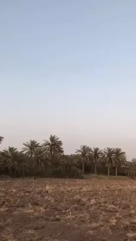 اجواء اخولي تشبه روايه ارض الخناجر 🙂✨.