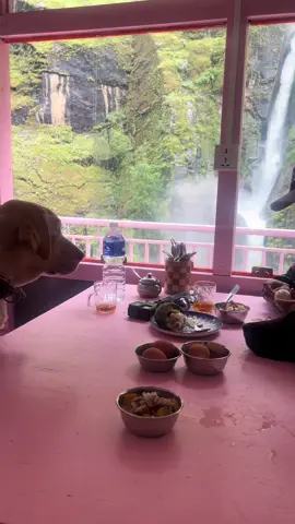 Bung jharna📍lamjung🇳🇵#heaven_on_earth #nepal🇳🇵 #naturelover #creatorsearchinsights 