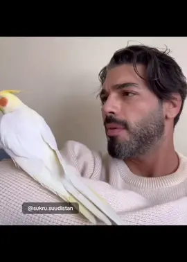 Şükrü Özyıldız ♥️ #şükrüözyıldız  #ŞükrüÖzyıldız  #sukruozyildiz   #turkishdrama  #turkishseries 