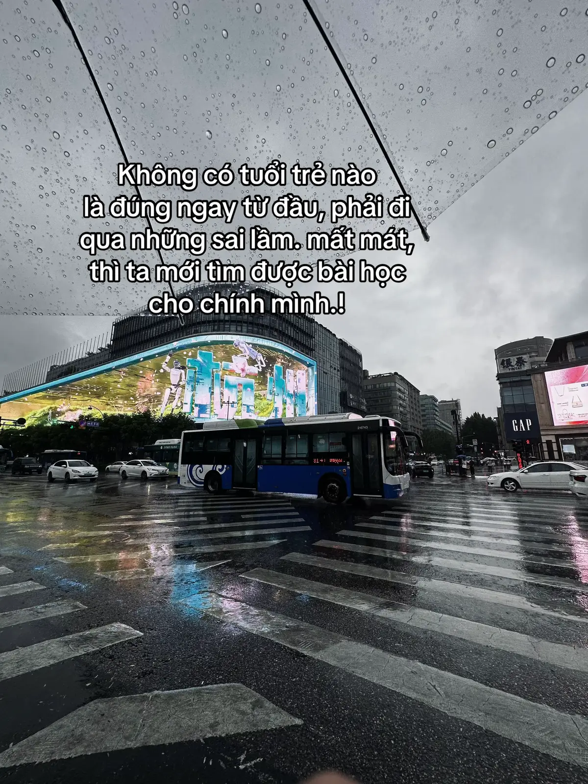 Không có tuổi trẻ nào là đúng ngay từ đầu, phải đi qua những sai lầm. Mất mát, thì ta mới tìm được bài học cho chính mình.! #cuocsong #tamtrang #sttdoi 