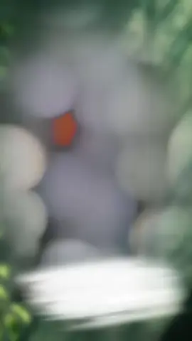 #حسبنا_الله_ونعم_الوكيل #استغفرالله_العظيم_واتوب_اليه #اللهم_صلي_على_نبينا_محمد #لا_اله_الا_الله 