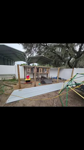 Weekend project! Made @Tori girls a new home Even moved the bunnies inside so Tori can start a garden where the rabbits use to be. #build  #chickens #rabbits  #animals  #farming 