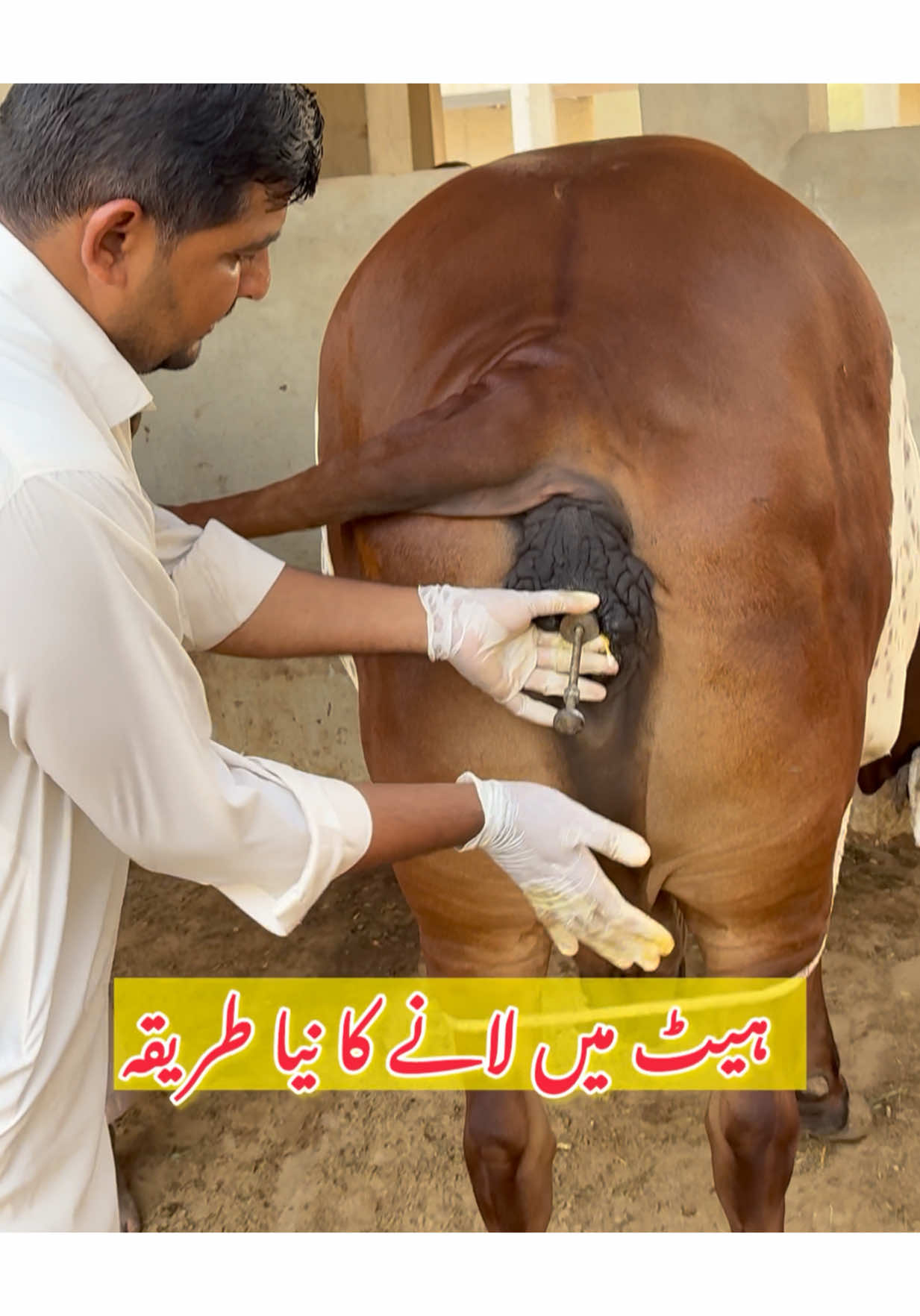 Heat py lanee kaa treeqa#foryoupage❤️❤️ #drmohsin #foryoupage #viral #drmohsin 