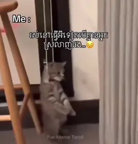 #ដៃគូរបង់ប្រាក់💵🙄 #100k #ចង់ល្បីដូចប្រូដែរ 😫❣️#សុំបេះដូងម្នាក់មួយផង ☹️