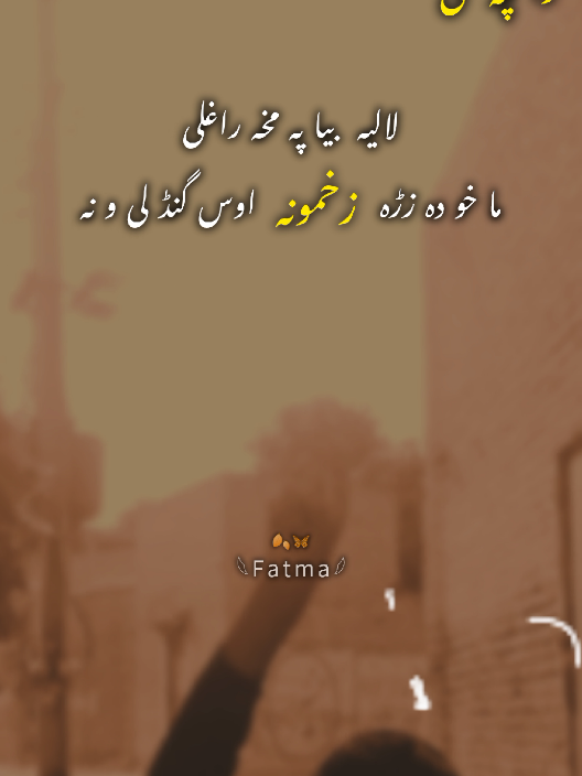 Part 48 #fyp #viralvideo #foryoupage #pashtopoetry #viwesproblem 