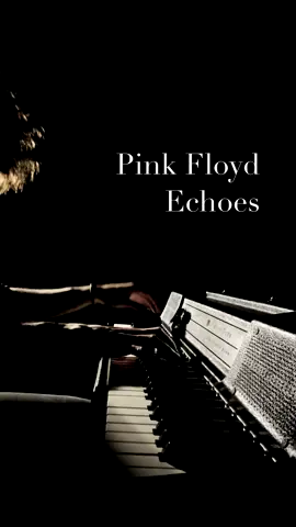 Pink Floyd, Echoes #pinkfloyd #echoes #meddle #floyd #thepinkfloyd #pompeii #liveatpompeii #piano #pianocover #rogerwaters #richardwright #davidgilmour #nickmason #wurlitzer #electricpiano @Pink Floyd @Roger Waters @David Gilmour 