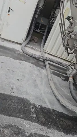 #soferie #caterinca #caterincă_tiktok 