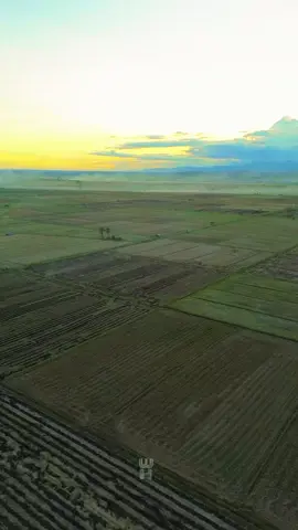 Toili panen 🌾🌾  #toili #banggai 