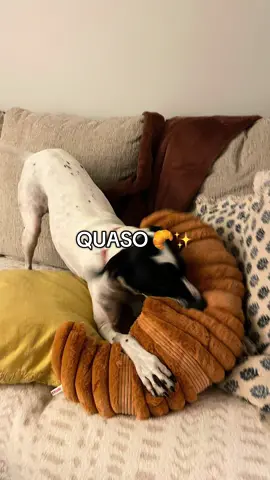 The toy was just too good to not use this Audio.  12.99 CROISSANT for the puppers at Homegoods 🫶🏻🥐 #todayiwantedtoeatacroissant 