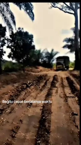 gambangan ponton  IPA #trendingtiktok #masukbranda #platbm #drivermuda #truksawit 