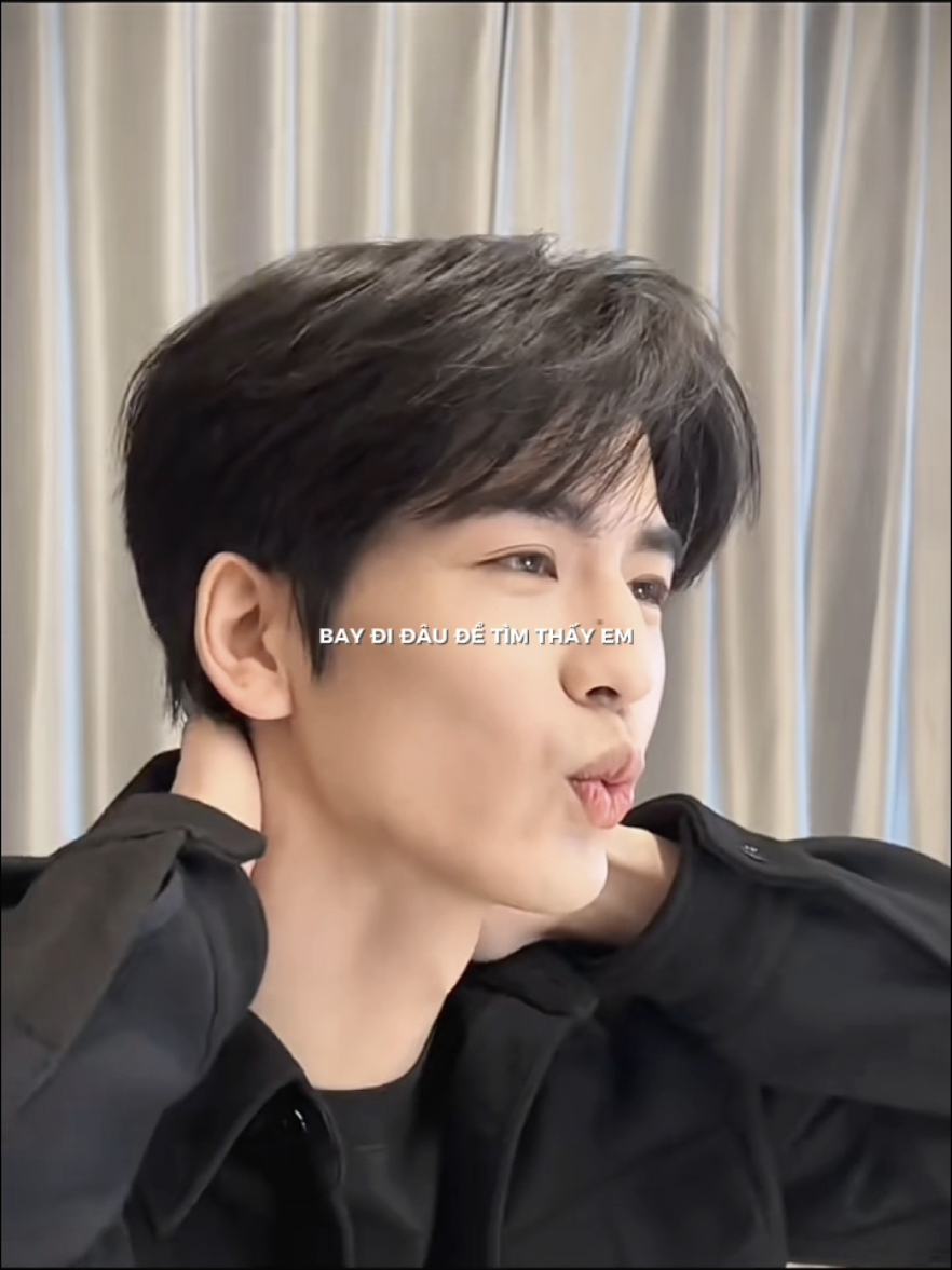 Bay đi đâu để tìm em ... #truonglanghach #zhanglinghe #张凌赫 #fyp #viral 