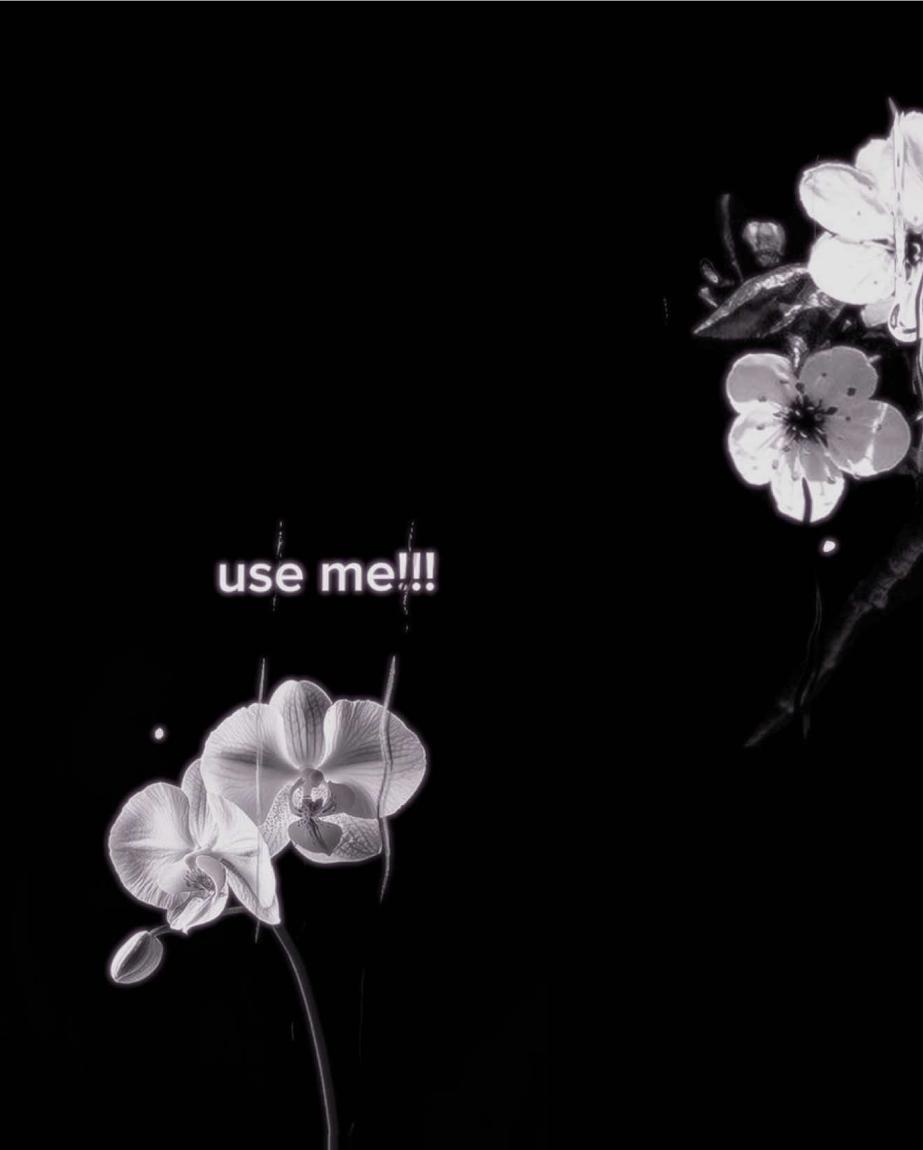 use me,  #olgamyko #song #slowed #slowedsong #slowedandreverb #audios #slowedaudios #fyp #parati #lyrics_songs #foryou 