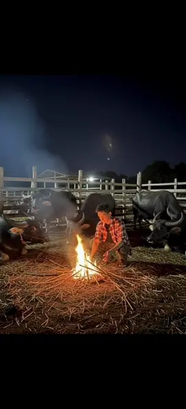 #บ้านเฮามันกะส่ํานี้ล่ะ #ไทบ้าน #อีสานบ้านเฮา 