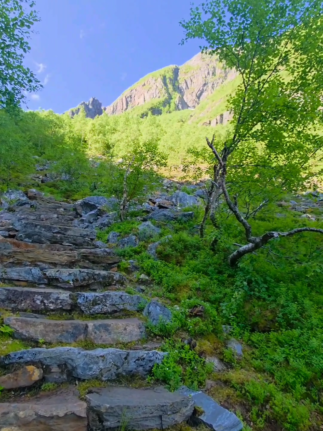 The world’s longest Sherpa-built stone staircase (4,000+ steps) — Helgelandstrappa, Norway🇧🇻 #Norway #mountain #nature #fyp #foryou 