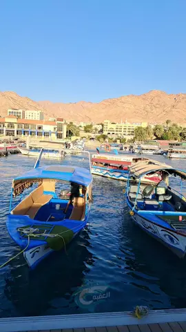 #aqabajordan #explore 