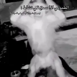 #طمون #كارهين_طمون #شعب_الصيني_ماله_حل😂😂😂 