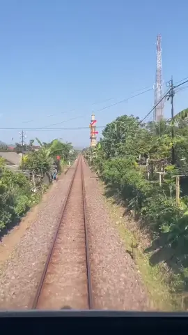 dinas perjalanan ka pandanwangi dipimpin lok cc203 pukul 11:15 melintas langsung stasiun glenmore tujuan akhir stasiun jember #keretaapi #fyp 