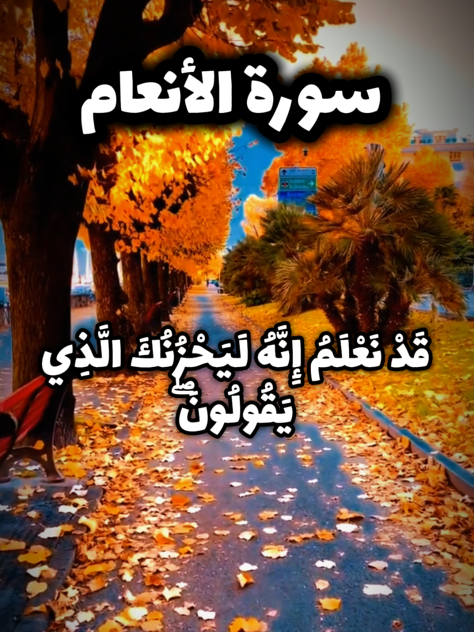قد نعلم أنه ليحزنك الذي يقولون @A_A_A  آيلت من سورة الأنعام { 33 _ 35 } بصوت القارئ ريان المحيسني 