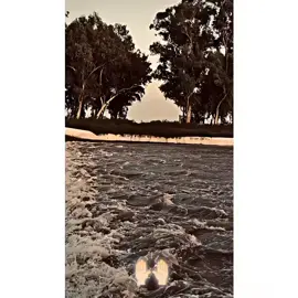 Hanji 🔥🙌🏻👆🏻💯 #Punjabi🌾 #سوناپنجاب😘😘🌾🌾 #fypシ゚ #Pindaly_rajpoot786🌾 #growmyofficialaccount📈✅ 