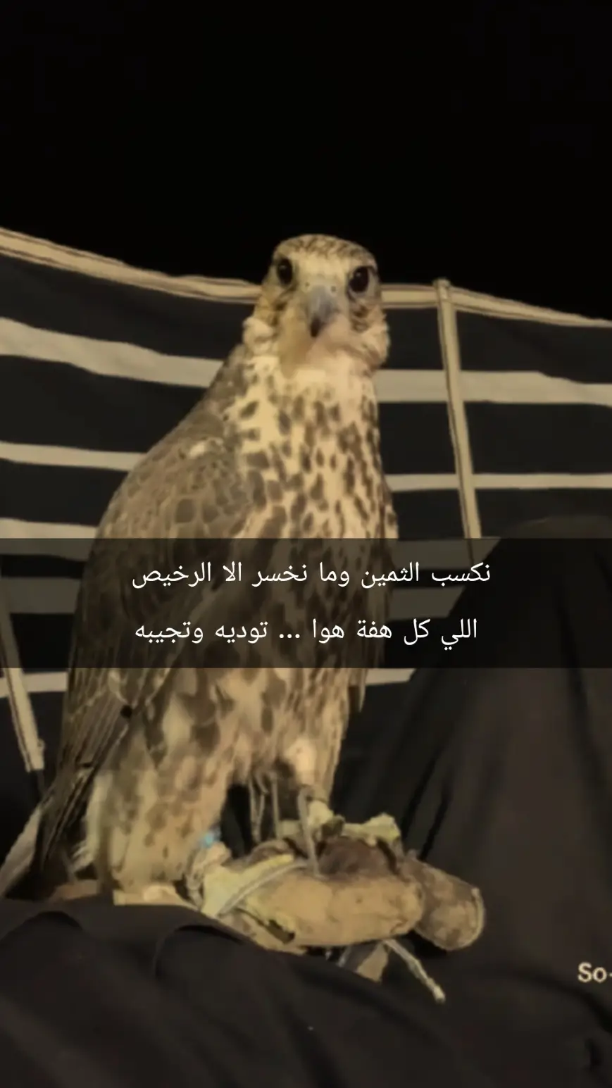 #نكسب الثمين وما نخسر الا الرخيص  اللي كل هفة هوا ... توديه #وتجيبه