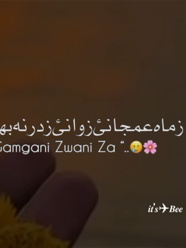 hyeee🥺🥀❤️‍🩹#grow #myaccount #tiktokteam #growmyacccount 