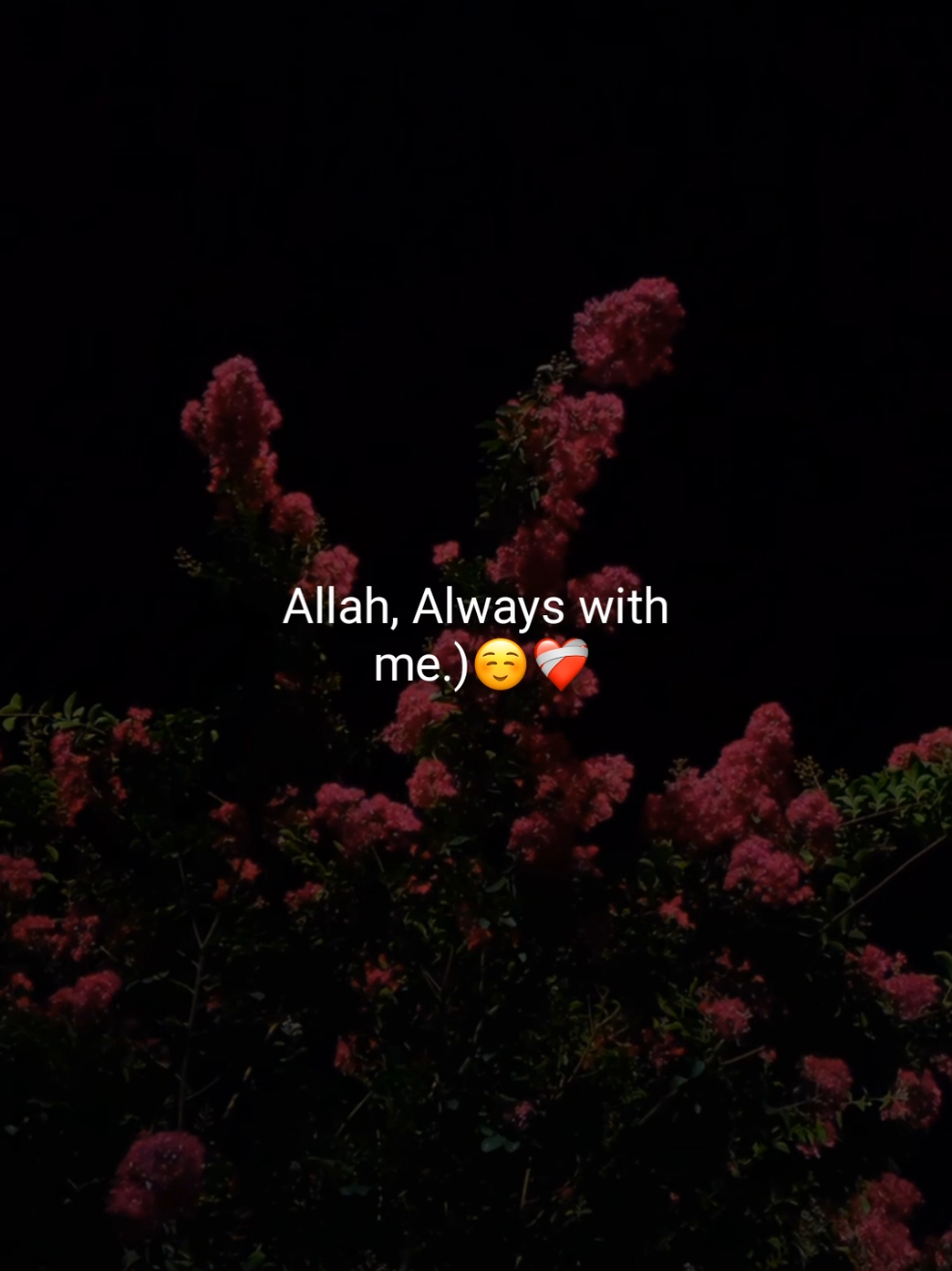 Allah, Always with  me.)☺️❤️‍🩹      #flypシ #foryou #foryoupage 
