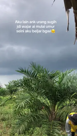 Ksah nya barang🤣 #fyp #storybanjar #katakatabanjar 