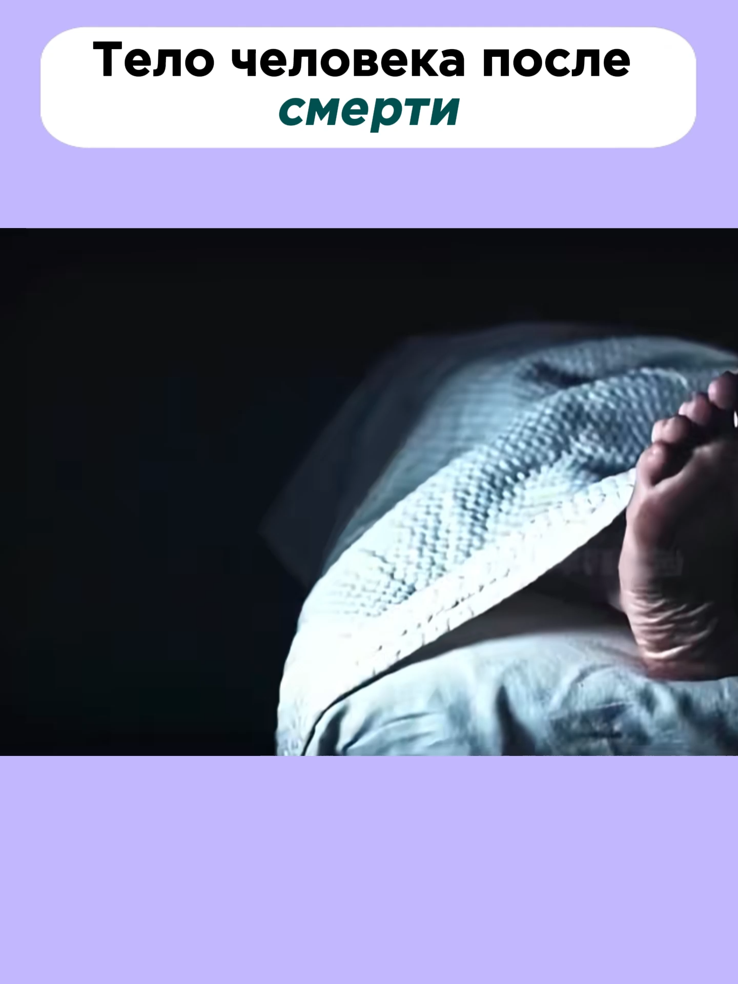 Тело человека после смерти#3D-фильм #знание #мояистория #наука