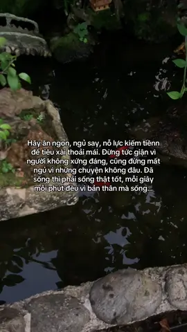 …#tamtrang #story 