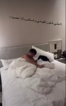 🤣@امير عاشور @ايوب التميمي #مالي_خلق_احط_هاشتاق 