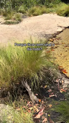 Um dos lugares mais lindos que já conheci. Uma trilha de 15km para ver o Rei. Vale muitíssimo a pena.  #chapadadosvesdeiros #reidoprata #NaturezaSagrada  #VibeChapada #LugarDePaz 