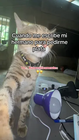 Perdón hermano 😂😂no tengo plata #plata #paratii #videoviral #humor #fyt 