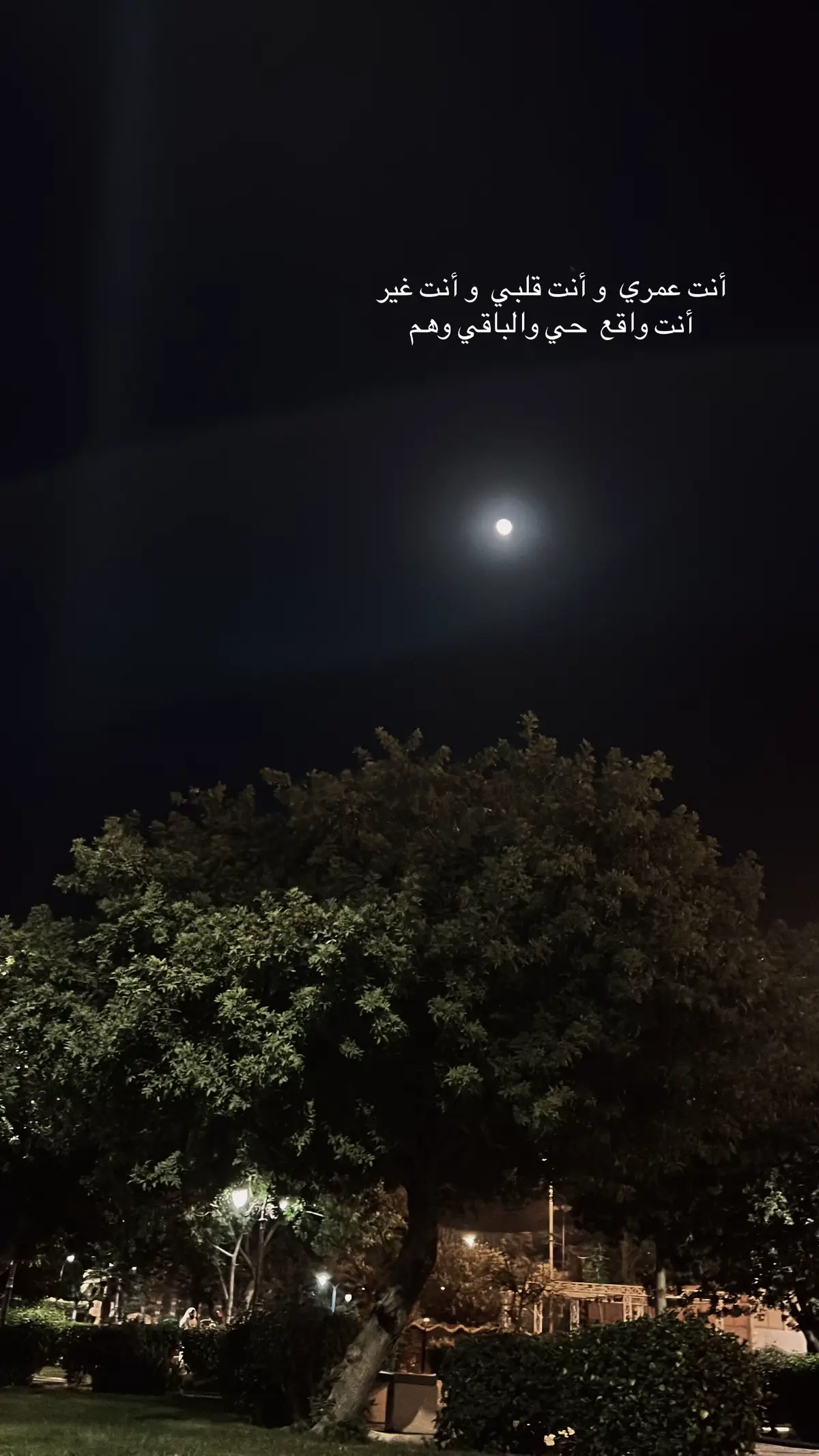 # المهم انك من العالم أهم ❤️ 
