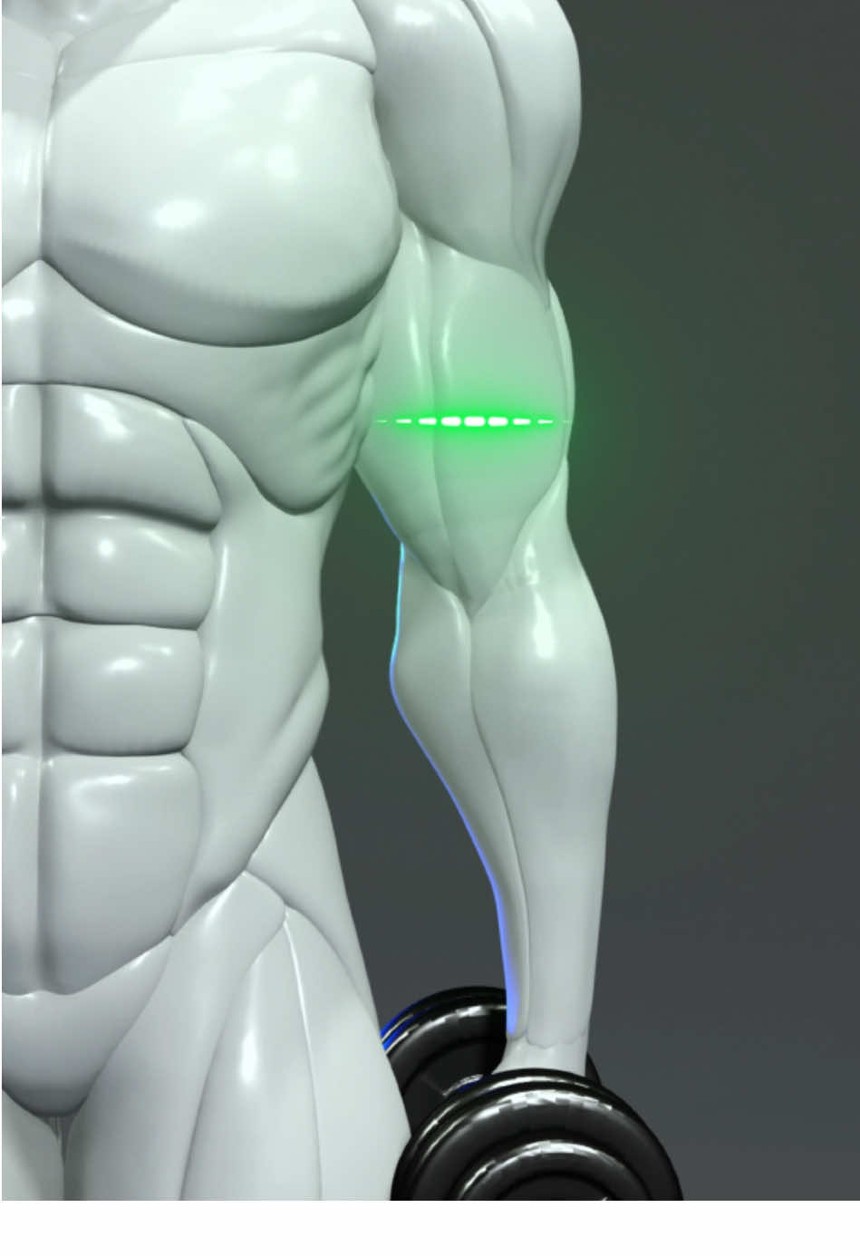 Big from the side, small from the front? 👀 Fix it with precision. 🔥 #fitonomycoach #fitonomy #armworkout #bicepsworkout #brachialis   