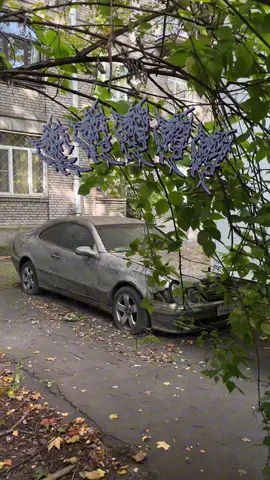 тот самый цлк..| трек в тгк: fenzu #fenzu #тяжелаяжизньстарыхмерседесов #clk208 #abandonedcars #тяжелыйлюкс 