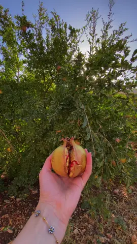 Payiza waxte hana ra ya 🍁🍂🤎…#fypシ゚ #tiktok #viral #foryou #selwa🦋 
