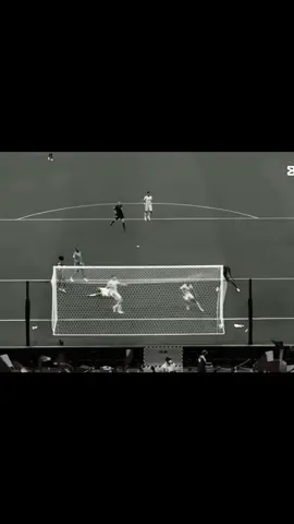 #الامارات #قطر #كاس_العالم #واذا_نشب_للعاقل_اهبل_ومقرود #UAE 