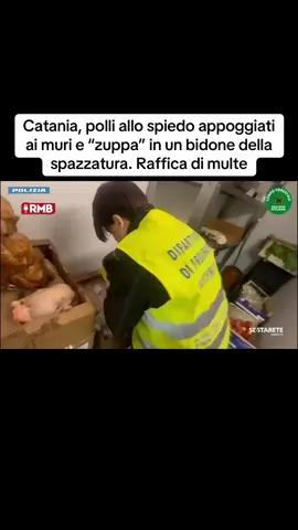 #polli #zuppa #ciboavariato #edoardopicone #sestareteradiotv @sestareteradiotv 