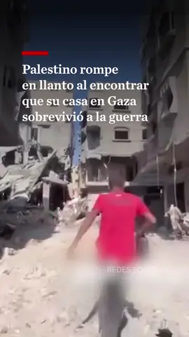 🇵🇸 Este hombre no pudo contener las lágrimas al ver que su hogar, en medio del norte de Gaza, aún sigue en pie. Entre ruinas y silencio, su emoción se mezcla con la de miles de palestinos que comienzan a regresar a lo que alguna vez fueron sus casas, tras meses de desplazamiento y bombardeos. La retirada de las fuerzas israelíes y el reciente alto al fuego han abierto un respiro: el regreso a los escombros, la búsqueda de sobrevivientes, los primeros pasos hacia la reconstrucción. Pero también, el peso inmenso de lo perdido. Un retorno que duele y esperanza que resiste entre los muros destruidos. #Gaza #AltoAlFuego #Palestina #MilenioInforma #MilenioNoticias