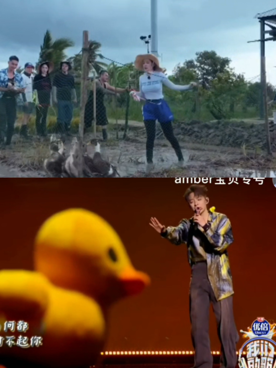 Chi thì vật lộn nhưng Ber thì rất chill, bài hát The Duck rất dễ thương á! Ber và tỷ Tô Huệ Lâm kết hợp vô cùng ăn ý trong show! #amberliu #chipu #chiber #thaivanchinam #amberchipu #tvcn #chipu芝芙 #CGlobal #huonggiangentertainment  #HangXomMoi #HelloNeighbors #hangxommoitap1 #oursong #oursongtrungquocmua5 #tohuelam #theduck