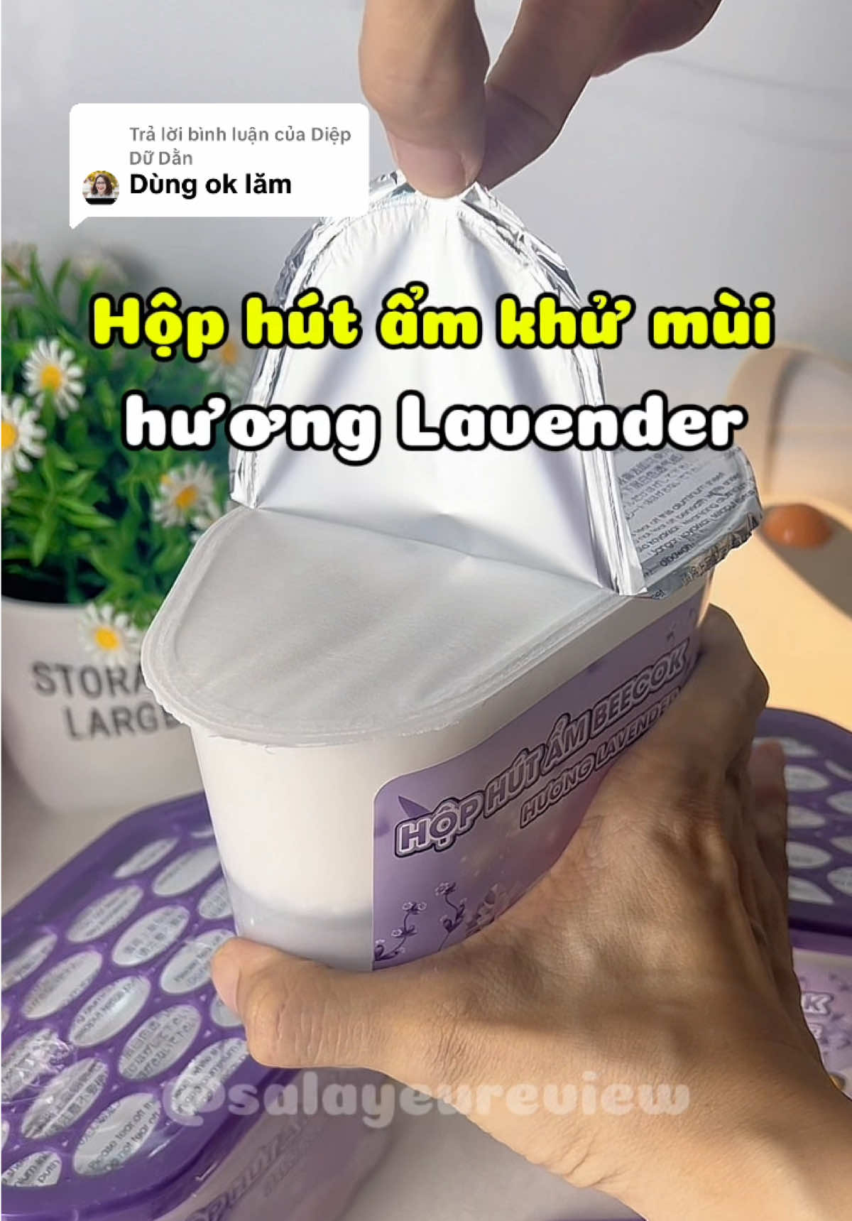 Trả lời @Diệp Dữ Dằn Mùa mưa này phòng hay có mùi ẩm mốc, mọi người thử cách này nhaa🌱  @Sala yêu review💋  @Sala yêu review💋  @Sala yêu review💋  #salayeureview #giadungthongminh #hophutambeecok #hophutam #dondepnhacua 