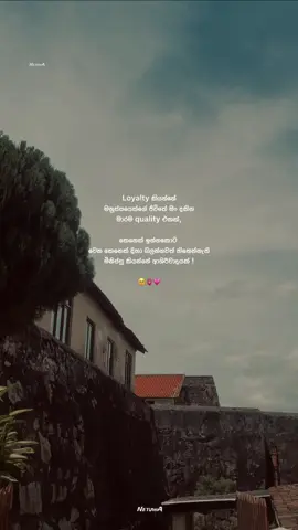 Loyalty කියන්නේ මාරම quality එකක් ! 😩💗💍 Mention your favorite person ලස්සන quotes බලන්න පේජ් එක follow කරලා තියා ගන්න ලමයෝ 🌝💗 #netuwa_page #shehannethmina #shehaaan__ #sithu_page 