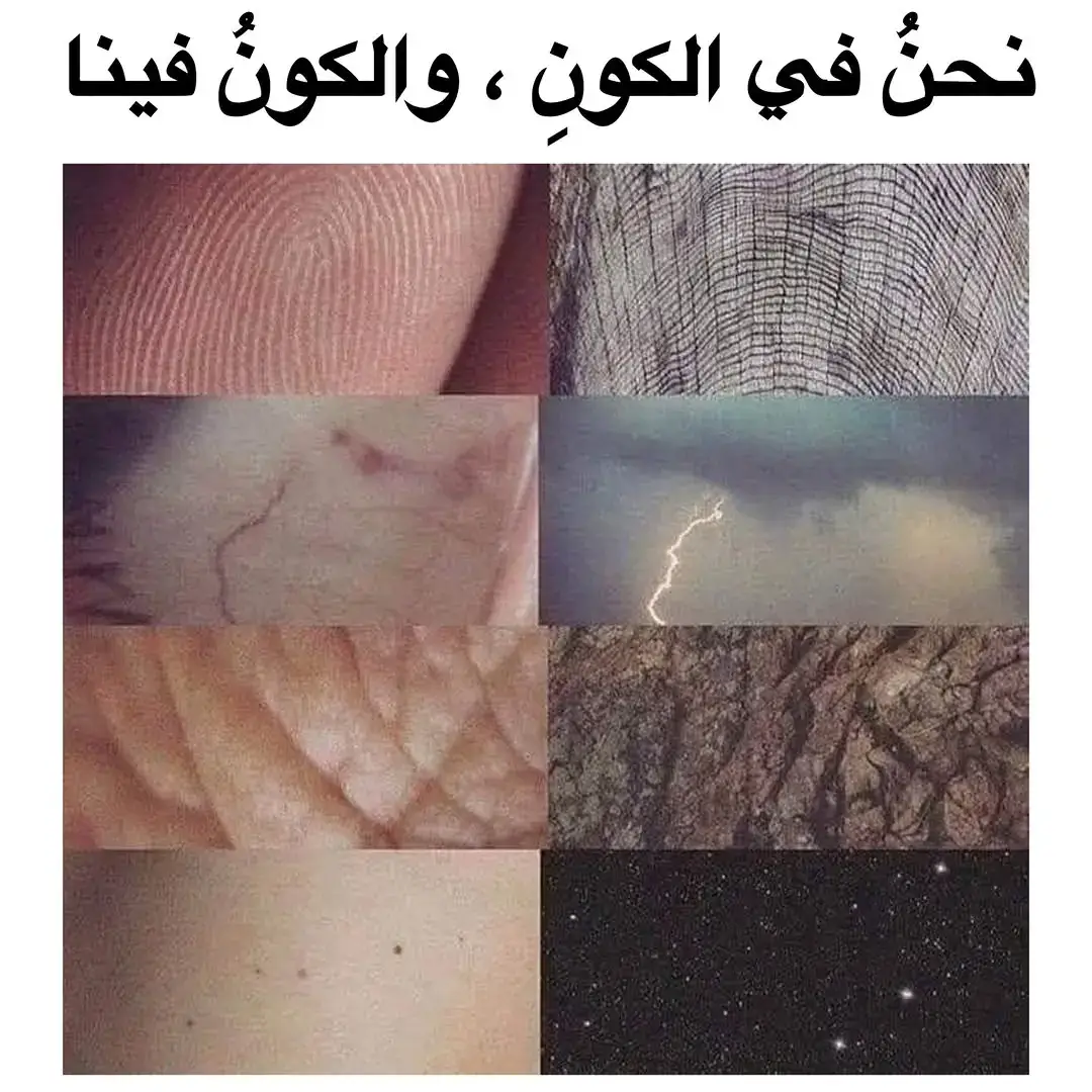 #اقتباسات_عبارات_خواطر🖤🦋🥀 #للعقول_الراقية_فقط #خواطر_من_الماضي #عمار_السلامي #كريم_محسن 